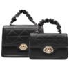 Women's Stylish Black Handbag Combo SET OF 2
